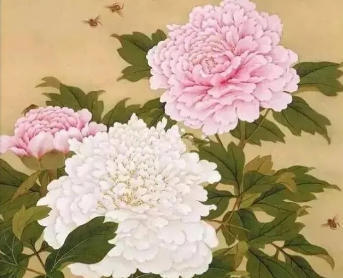 为什么牡丹能在百花中称为“国花”