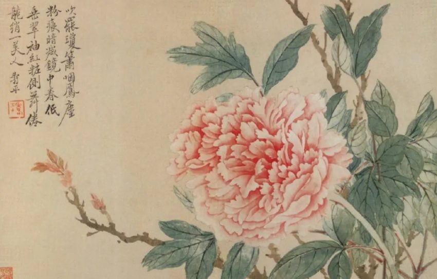 说一说描写牡丹的诗文发展历史